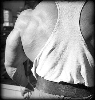 AnimalPak Controled Rage